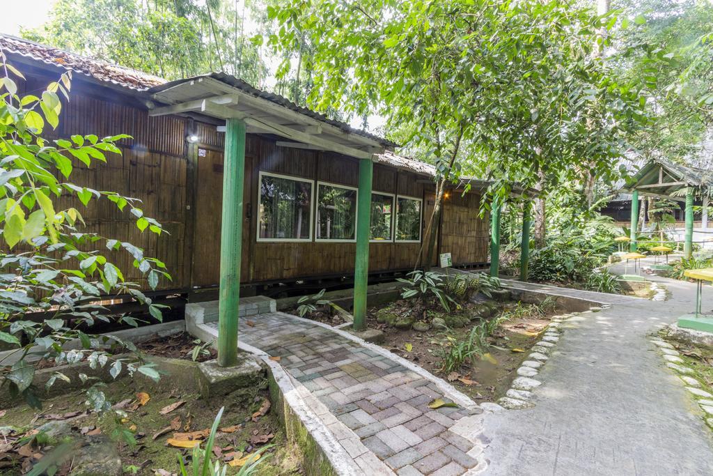 Hosteria El Paraiso De Las Orquideas Archidona المظهر الخارجي الصورة