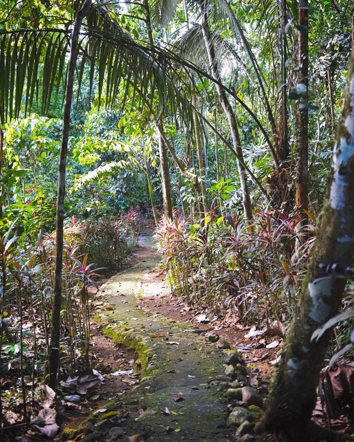 Hosteria El Paraiso De Las Orquideas Archidona المظهر الخارجي الصورة